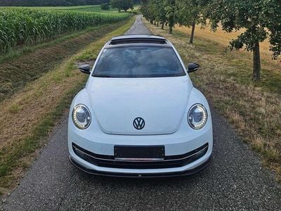 VW Beetle