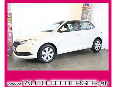 gebraucht Skoda Fabia Active 1,0