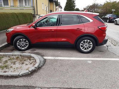 Rot Gebraucht 2021 Ford Kuga Titanium SUV | € 19.000 (Guter Preis)