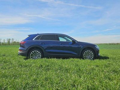 Blau Gebraucht 2022 Audi e-tron Business SUV | € 45.000 (Teuer)