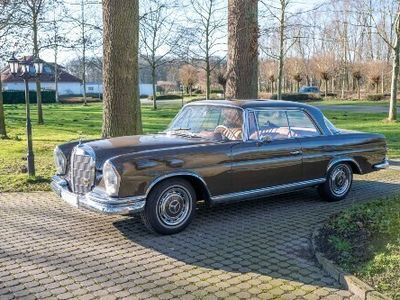 Gebraucht Mercedes 250 SE 150 PS (110 kW) 1966