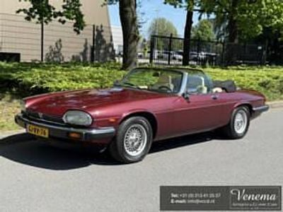 Rot Gebraucht 1989 Jaguar XJS Cabrio | € 19.900