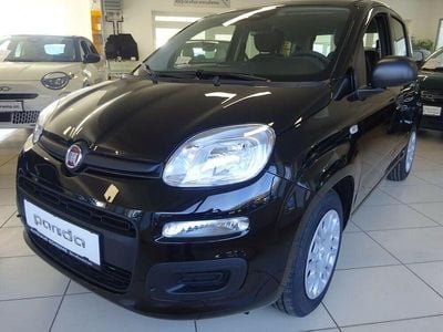 Neu Fiat Panda Icon 69 PS (50 kW) 2026 Kleinwagen