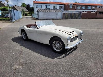 Weiß Gebraucht 1960 Austin Healey 3000 MK I Cabrio | € 19.750