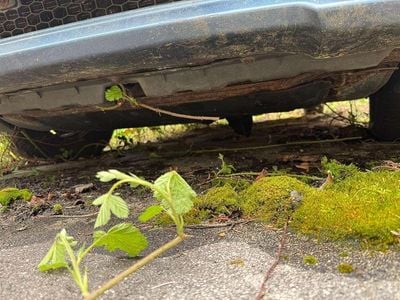 Gebraucht Hyundai Lavita 111 PS (81 kW) 2007 Van / Kleinbus