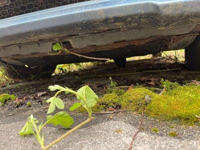 Gebraucht 2007 Hyundai Lavita Van / Kleinbus | € 850