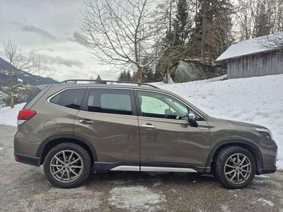 Braun Gebraucht 2020 Subaru Forester Premium SUV | € 24.500 (Fairer Preis)
