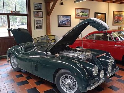 Dunkelgrün Gebraucht 1952 Jaguar XK Cabrio | € 128.000