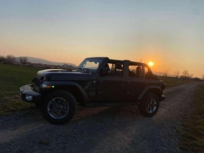 Grau Gebraucht 2018 Jeep Wrangler Unlimited Sahara SUV | € 35.500