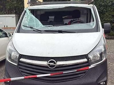 Gebraucht 2017 Opel Vivaro Edition Van / Kleinbus | € 4.250