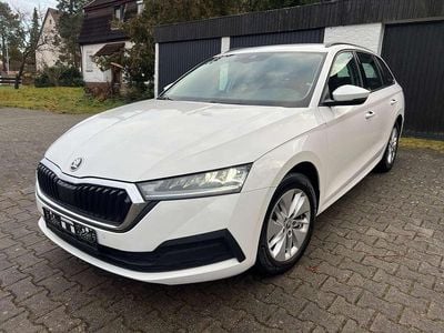 Gebraucht Skoda Octavia Ambition 116 PS (85 kW) 2023 Weiß Kombi