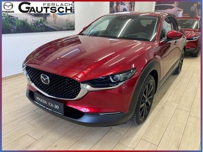 gebraucht Mazda CX-30 e-Skyactive G122 Exclusive-Line