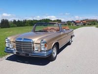 Gebraucht Mercedes 280 SE 200 PS (147 kW) 1969 Gold Cabrio