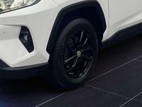 gebraucht Toyota RAV4 Hybrid 2,5 Hybrid Active 2WD Aut.