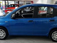 gebraucht Fiat Panda 4x2 FireFly Hybrid 70 City Life