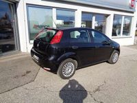 gebraucht Fiat Punto 12 69 Nuova Collezione TOP