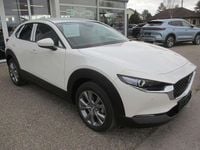 gebraucht Mazda CX-30 /G140/AT/Exclusive Line