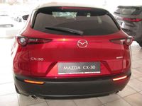 gebraucht Mazda CX-30 e-Skyactive G122 Homura Modelljahr 2024