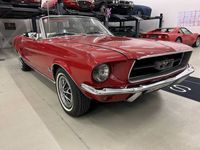 gebraucht Ford Mustang 289