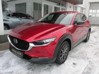 Gebraucht Mazda CX-30 Homura-Line 150 PS (110 kW) 2023 Rot SUV
