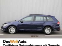 gebraucht VW Golf VII 