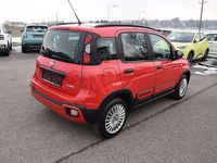 Gebraucht Fiat Panda Cross Cross 69 PS (50 kW) 2020 Rot Kleinwagen