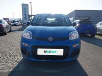 Neu Fiat Panda 69 PS (50 kW) 2025 Blau Kleinwagen