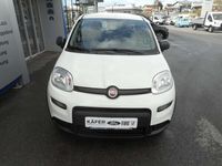 gebraucht Fiat Panda 4x2 FireFly Hybrid 70