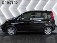 gebraucht Fiat Panda 4x2 FireFly Hybrid 70 Pandina