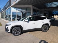 Gebraucht Hyundai Tucson GO! 159 PS (116 kW) 2023 Atlas white SUV