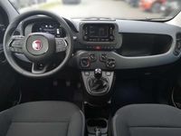 gebraucht Fiat Grande Panda Pandina Mild Hybrid
