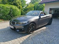 Gebraucht BMW 230 M Sport 252 PS (185 kW) 2018 Grau Cabrio