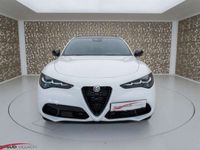 gebraucht Alfa Romeo Stelvio Veloce 2.0 Gme 280 PS Aut Awd - D82210