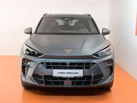 gebraucht Cupra Terramar 2.0 TSI DSG 4Drive AC Edition