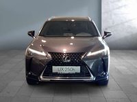 gebraucht Lexus UX 250h Style Edition MJ23 *Aktionsfahrzeug*