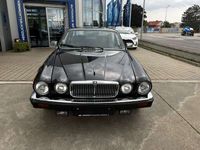 gebraucht Jaguar XJ12 Sovereign H.E. V12 5.3 Serie 3 Automatik