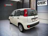 Neu Fiat Panda 70 PS (51 kW) 2025 Weiß Kleinwagen