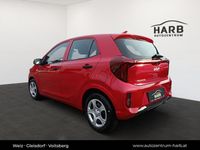Neu Kia Picanto 68 PS (50 kW) 2026 Kleinwagen
