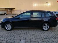 gebraucht VW Golf VII Variant Rabbit BlueMotion Tech. Bi-Xenon-Scheinwerfer mit