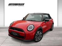 Gebraucht Mini Cooper Cabriolet 163 PS (119 kW) 2025 Rot Cabrio