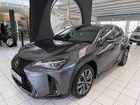 gebraucht Lexus UX 300 h