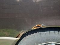 gebraucht Mercedes 230 