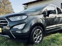 Gebraucht Ford Ecosport Titanium 101 PS (74 kW) 2019 Grau SUV
