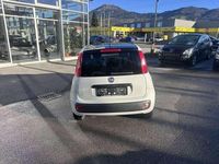 gebraucht Fiat Panda Young