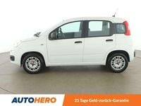 gebraucht Fiat Panda 1.2 Easy