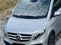 Gebraucht Mercedes E250 Avantgarde 190 PS (139 kW) 2021 Kombi