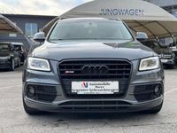 gebraucht Audi SQ5 30 TDI Competition quattro Tiptronic+Navi+AHK+Xse