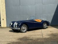 Gebraucht Jaguar XK 193 PS (141 kW) 1956 Blau Cabrio