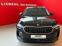 Gebraucht Skoda Kodiaq Selection 150 PS (110 kW) 2025 Schwarz SUV