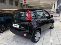 gebraucht Fiat Panda 4x2 FireFly Hybrid 70 Pandina